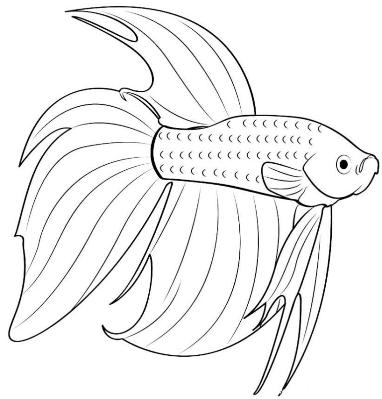 Desenhos De Peixes Para Colorir Dicas Pr Ticas