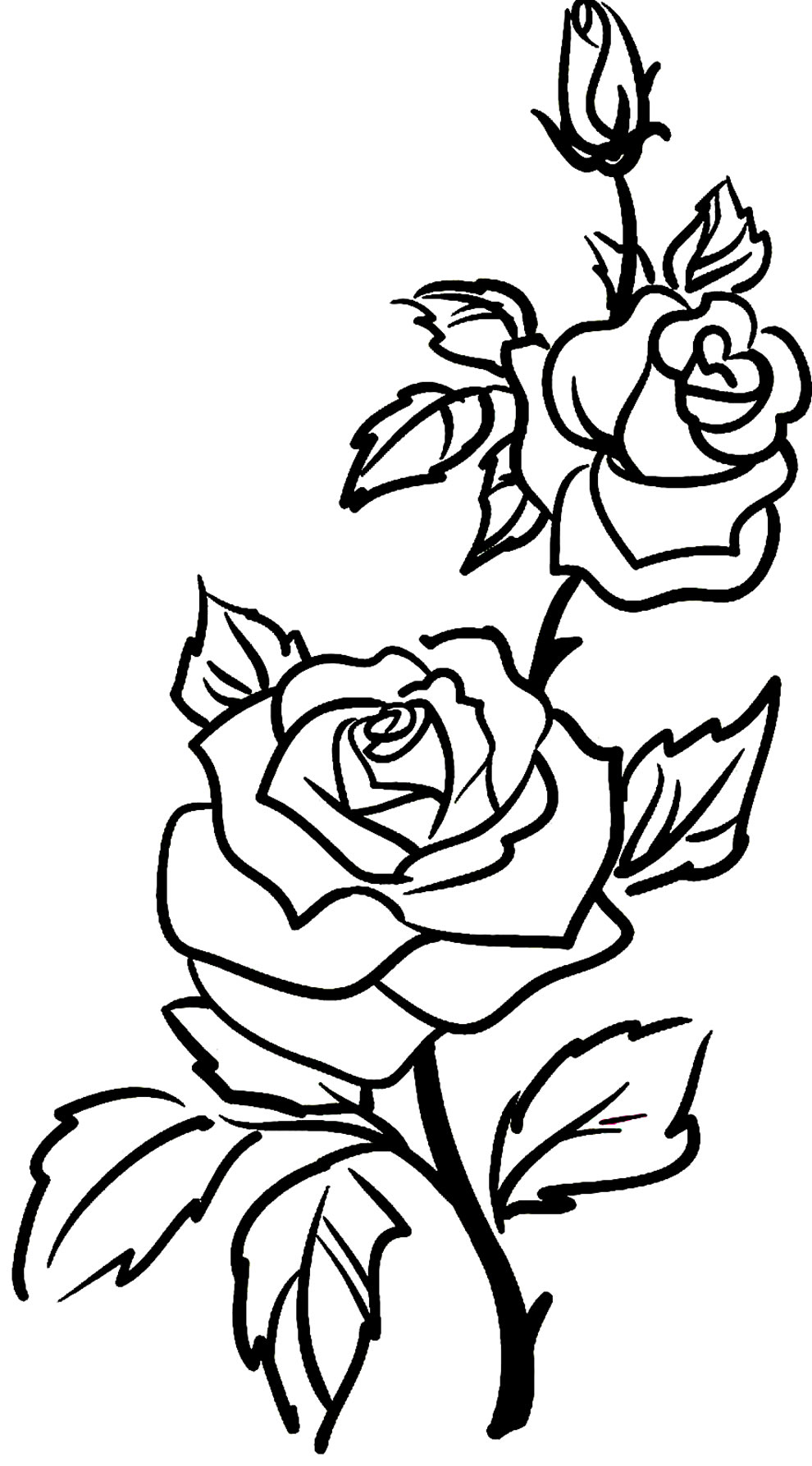 Desenho De Rosas Para Imprimir Desenhos De Rosas Para Colorir E