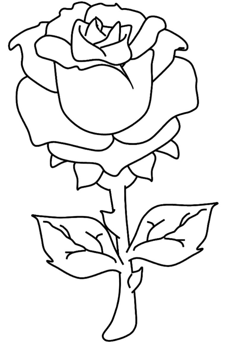 Desenhos De Rosa Para Colorir Dicas Pr Ticas