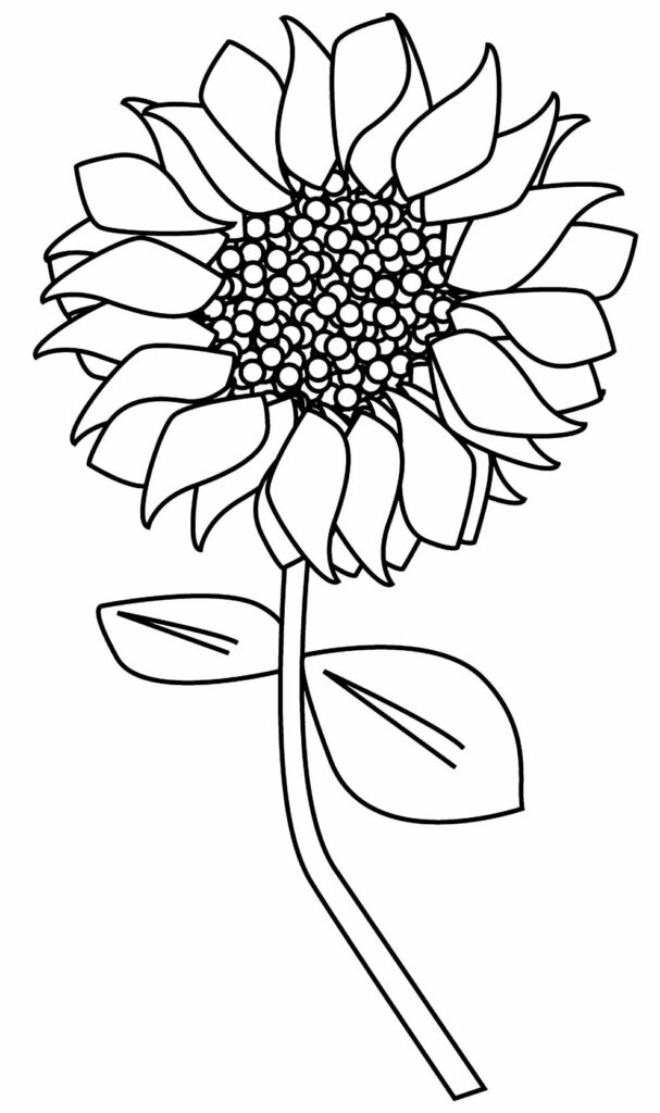 Desenhos De Flores Para Imprimir E Colorir Dicas Pr Ticas