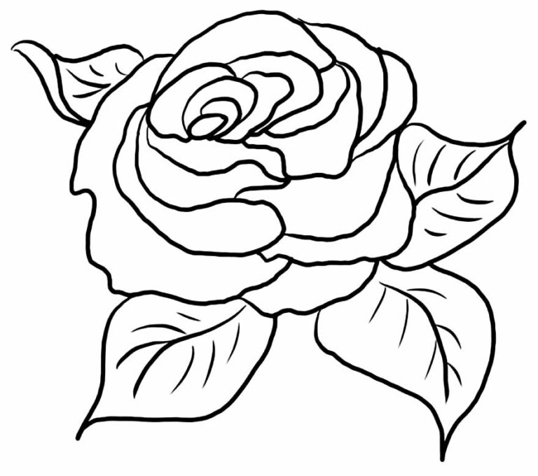 50 Desenhos de Rosa para colorir Dicas Práticas