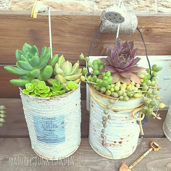 Mini suculentas plantadas em latas