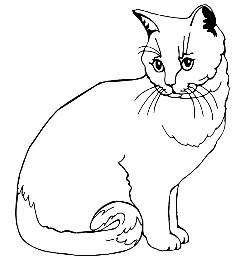 Desenhos de Gatinhos para Colorir - Coletânea de Imagens para Imprimir   Desenhos animais simples, Desenhos bonitos, Desenhos de gatinhos fofos