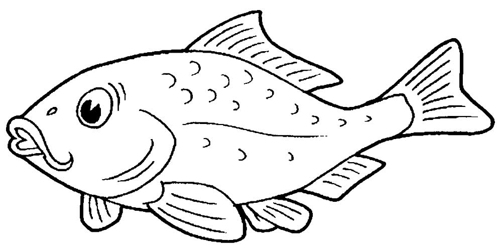 Desenhos De Peixes Para Colorir Dicas Praticas Images