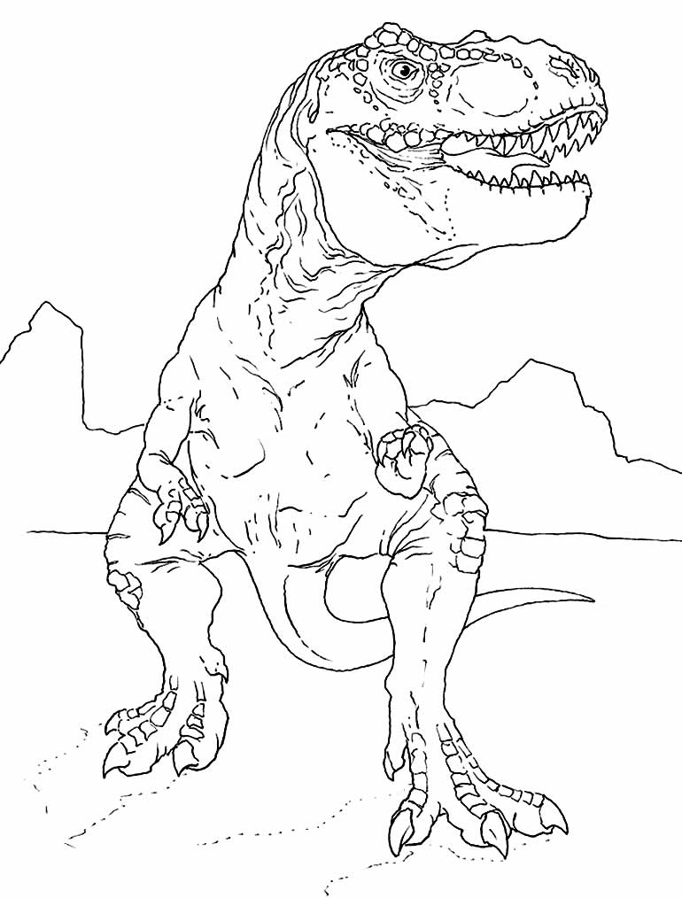 Dinossauro Para Colorir Dino E Pintura T-Rex Miketa 1136 em Promoção na  Americanas