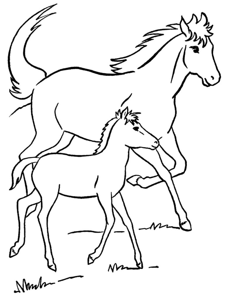 Desenhos de Cavalos para colorir Dicas Práticas