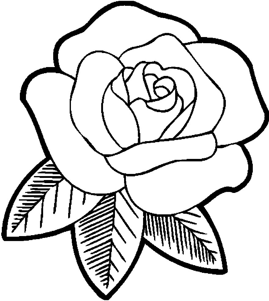 50+ Desenhos de Rosa para colorir - Dicas Práticas