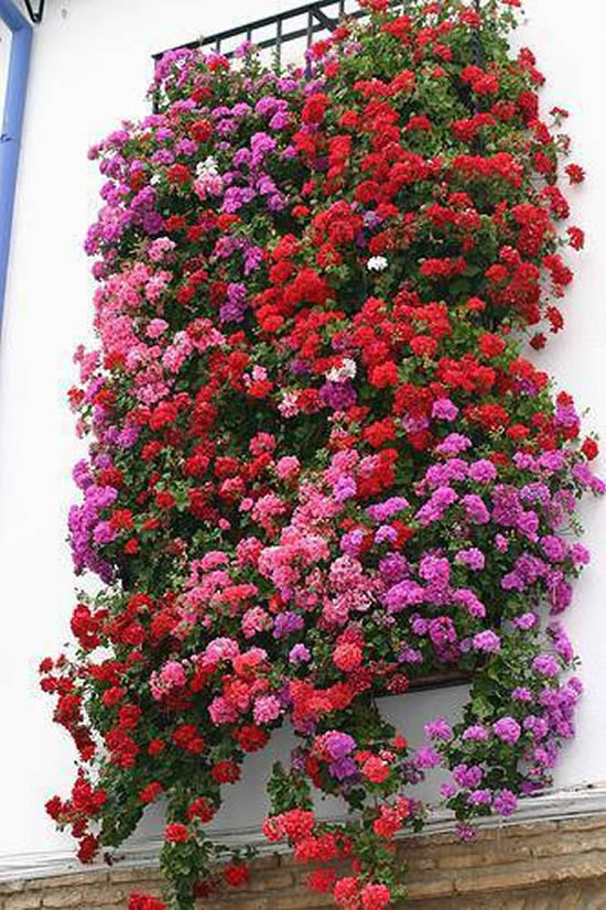 Jardim vertical com flores