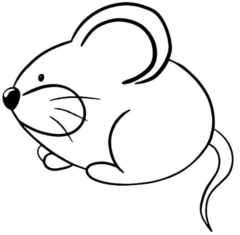 Desenhos para colorir de Ratinhos Dicas Práticas