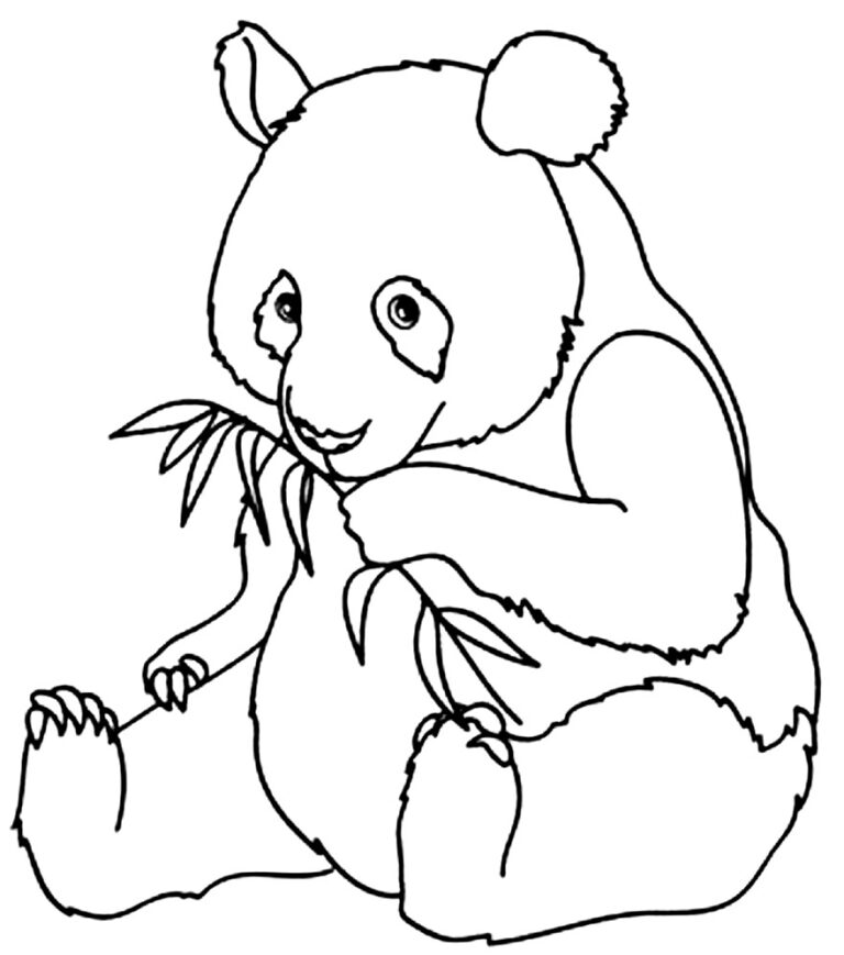 Desenhos De Panda Para Colorir Dicas Pr Ticas