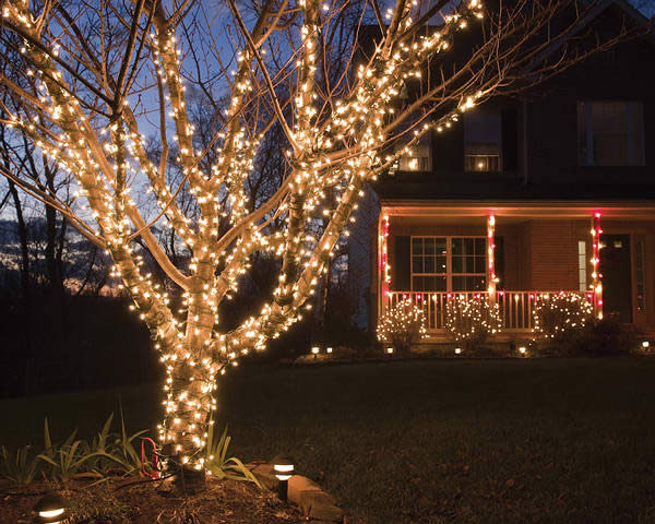 Árvore enfeitada com pisca-pisca - Decoração de Natal