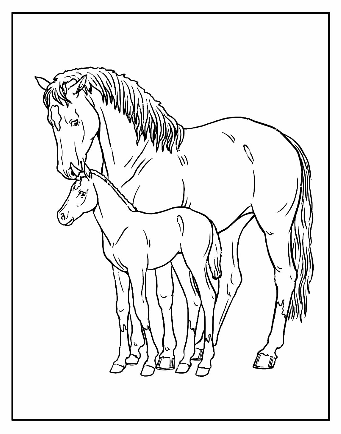 Desenho de Cavalos para colorir