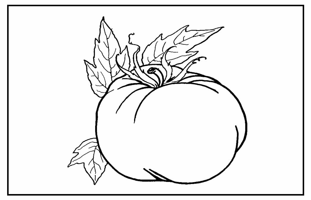 30 Desenhos Para Colorir De Tomate Dicas Práticas