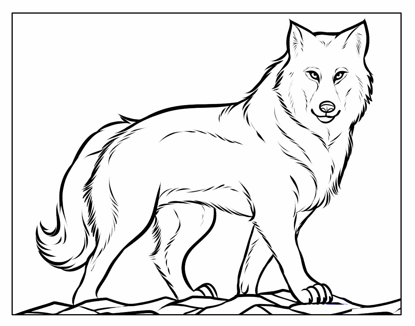 Desenhos Para Colorir De Lobo Dicas Pr Ticas