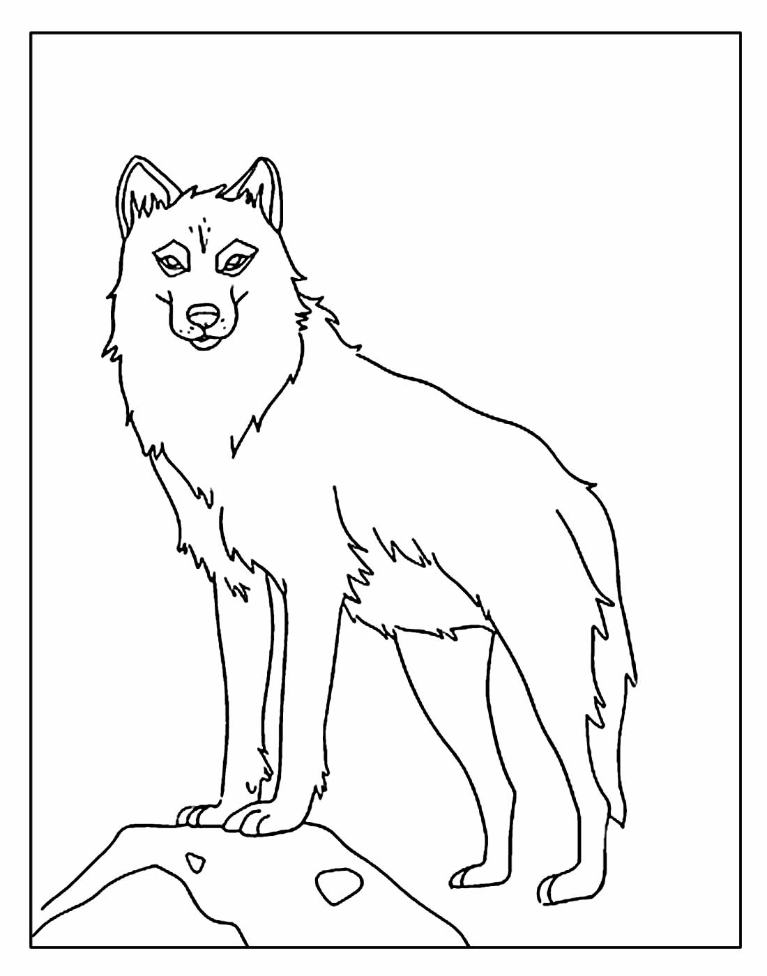Волк поэтапно для детей рисунок