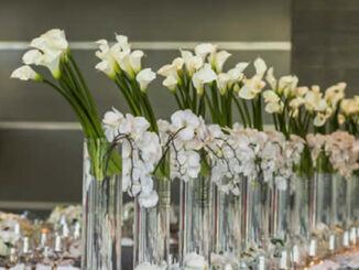 Copos de Leite - Flores - Decoração - Casamento